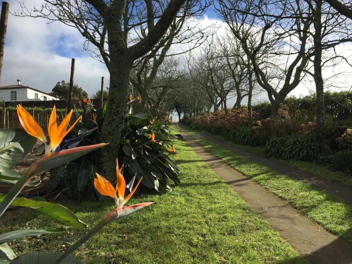 Apartmán Azores Protea House Lagoa  Exteriér fotografie
